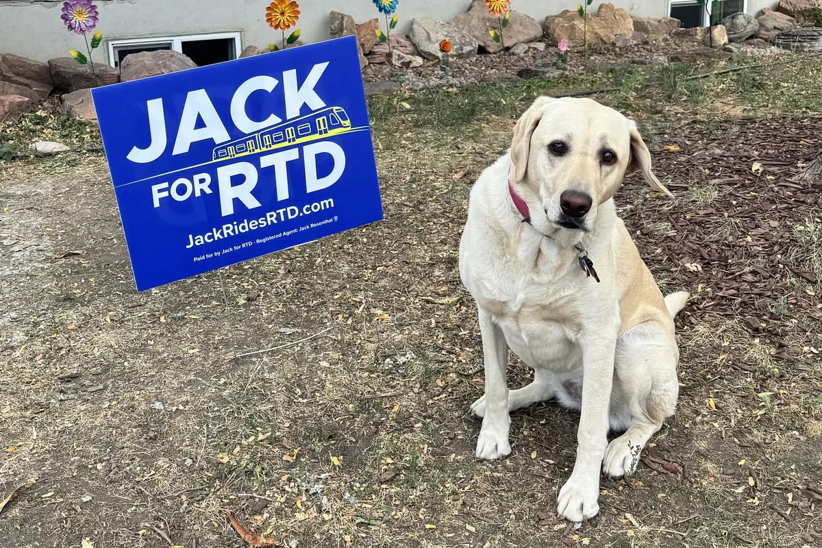 A yellow lab sitting next to a Jack for RTD yard sign in a front yard
